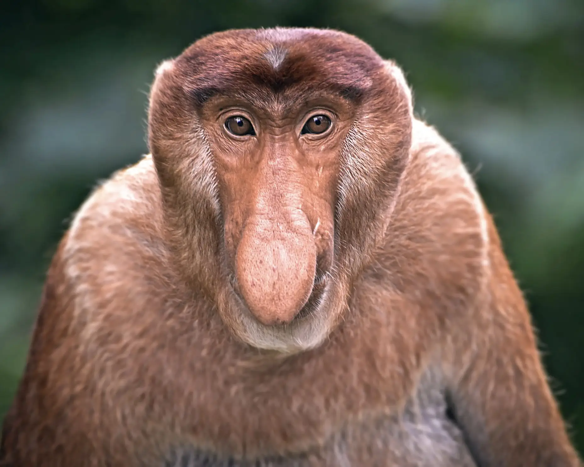 Species Conservation